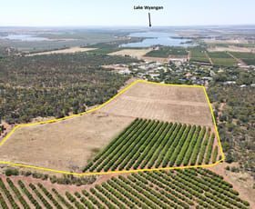 Rural / Farming commercial property sold at 230 Slopes Road Lake Wyangan NSW 2680