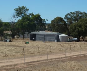 Rural / Farming commercial property sold at 7016 Calder Highway Wedderburn VIC 3518