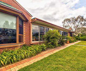Rural / Farming commercial property for sale at 4340 Gundaroo Road Gundaroo NSW 2620
