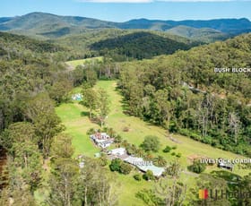 Rural / Farming commercial property sold at 2581 Kings Highway Currowan NSW 2536