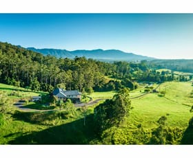 Rural / Farming commercial property sold at 448 Gordonville Road Bellingen NSW 2454