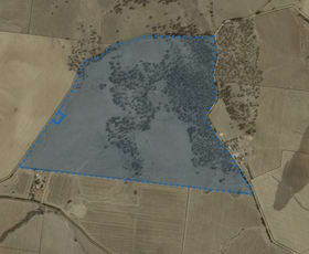 Rural / Farming commercial property sold at Lot 270 Hill Rd Alma SA 5401