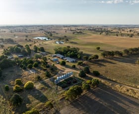 Rural / Farming commercial property sold at 'Warranoy', 663 Bibaringa Road Wallendbeen NSW 2588