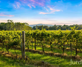 Rural / Farming commercial property sold at 379 Wilderness Road Lovedale NSW 2325