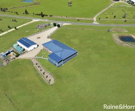 Rural / Farming commercial property for sale at 127 Dananbilla Drive Young NSW 2594