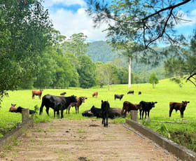 Rural / Farming commercial property sold at 728 Bellingen Road Missabotti NSW 2449