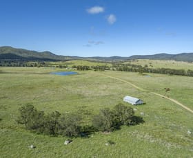 Rural / Farming commercial property for sale at Lot 16 McMeniman Road Ballandean QLD 4382