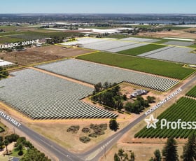 Rural / Farming commercial property sold at 257-265 Koorlong Avenue Nichols Point VIC 3501