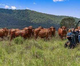 Rural / Farming commercial property sold at 116 Edwards Road Woolooga QLD 4570