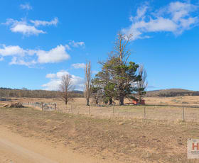 Rural / Farming commercial property for sale at 124 Old School Road Hill Top NSW 2628