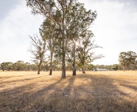 Rural / Farming commercial property sold at 507 Wimmera Highway Naracoorte SA 5271