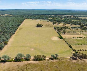 Rural / Farming commercial property sold at Barnawartha Depot Road Indigo Valley VIC 3688