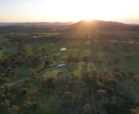 Rural / Farming commercial property for sale at 1721 Wee Jasper Road Tumut NSW 2720