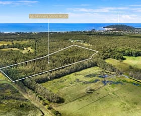 Rural / Farming commercial property for sale at 96 Skinners Shoot Road Skinners Shoot NSW 2481