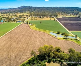 Rural / Farming commercial property sold at 1103 Kerry Road Kerry QLD 4285