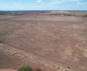 Rural / Farming commercial property for sale at 13166 Newell Highway West Wyalong NSW 2671