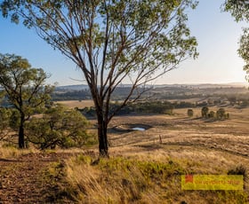 Rural / Farming commercial property sold at 299 Lower Piambong Road Mudgee NSW 2850