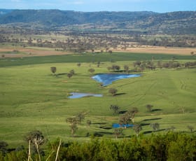 Rural / Farming commercial property sold at 'Belfield' Trevallyn Road Barraba NSW 2347