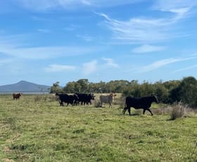 Rural / Farming commercial property sold at Lot 2 and Lot 16 Palmers Channel South Bank Road Palmers Channel NSW 2463