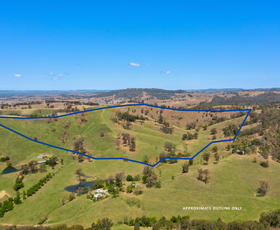 Rural / Farming commercial property for sale at 101/438 Bingleburra Road Dungog NSW 2420
