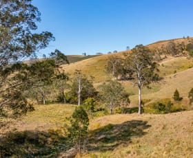 Rural / Farming commercial property sold at 101/438 Bingleburra Road Dungog NSW 2420