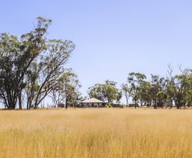 Rural / Farming commercial property for sale at 142 Sawpit Creek Road Gunnedah NSW 2380