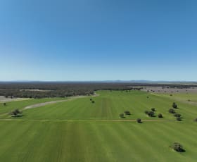 Rural / Farming commercial property sold at 142 Sawpit Creek Road Gunnedah NSW 2380