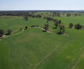 Rural / Farming commercial property for sale at 126 Kneebones Road Wagga Wagga NSW 2650