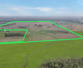 Rural / Farming commercial property for sale at 61 Kennys Lane Gorae West VIC 3305