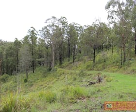 Rural / Farming commercial property sold at Lot 102 Gilloglys Road Bulga Forest NSW 2429