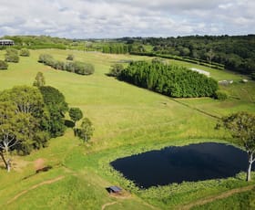 Rural / Farming commercial property for sale at 113 ATC Hall Road North Isis QLD 4660