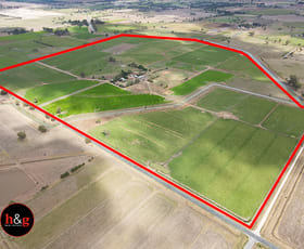 Rural / Farming commercial property for sale at 2930 McEwen Road Stanhope VIC 3623