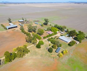 Rural / Farming commercial property sold at 'Delvin' 5031 Henry Lawson Way Forbes NSW 2871