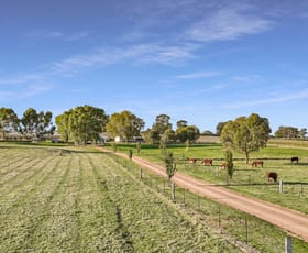 Rural / Farming commercial property for sale at 75 McLeod Lane Mansfield VIC 3722
