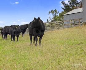 Rural / Farming commercial property sold at 110 Forresters Road Wooreen VIC 3953