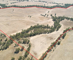 Rural / Farming commercial property for sale at Kurting-Powlett Road Powlett Plains VIC 3517