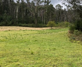 Rural / Farming commercial property sold at 555 Bryces Road Nerrigundah NSW 2545