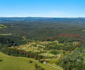 Rural / Farming commercial property for sale at 66 Crescent Hills Road Tabulam NSW 2469