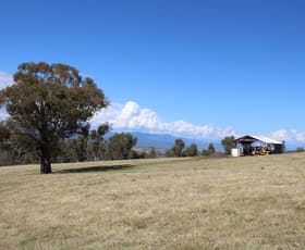 Rural / Farming commercial property for sale at Lot 1-3 Tumbarumba Creek Road Tooma NSW 2642