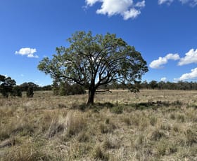 Rural / Farming commercial property sold at Orana & Kareela Ernie Hodges Road Parkes NSW 2870