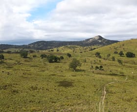 Rural / Farming commercial property for sale at 585 Sunnyside Loop Road Tenterfield NSW 2372