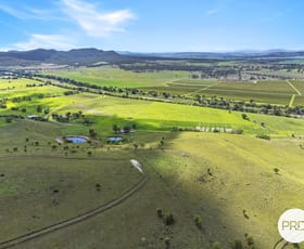 Rural / Farming commercial property for sale at 228 Yarrawa Deviation Road Denman NSW 2328