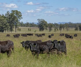 Rural / Farming commercial property sold at 0 Owens Scrub Road Tummaville QLD 4352