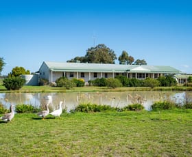 Rural / Farming commercial property sold at 40 Flanagans Lane Deniliquin NSW 2710