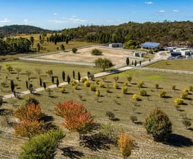 Rural / Farming commercial property sold at 362 Ridge Road Cooks Gap NSW 2850