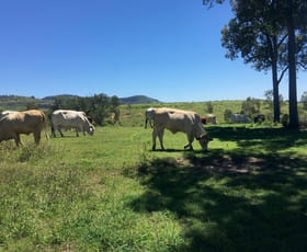 Rural / Farming commercial property sold at 1616 Gatton Clifton Road Mount Whitestone QLD 4347