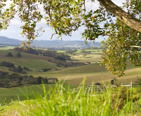 Rural / Farming commercial property sold at 746 Whisky Creek Road Dorrigo NSW 2453