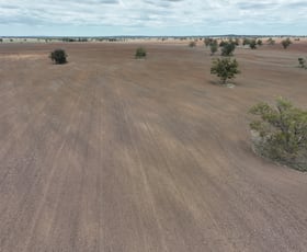 Rural / Farming commercial property for sale at 'Weemala' 2075 The McGrane Way Tullamore NSW 2874