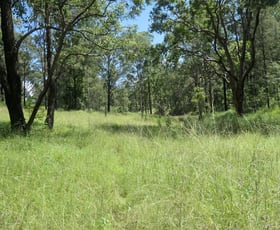 Rural / Farming commercial property for sale at 1021D Long Gully Road Drake NSW 2469