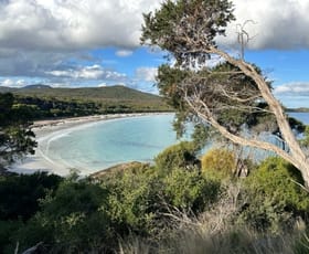 Rural / Farming commercial property for sale at PID 6431530 Thunder & Lightning Road Cape Barren Island TAS 7257